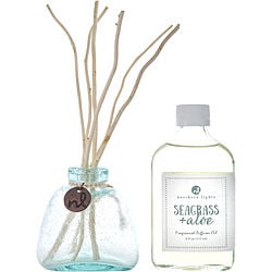 Seagrass & Aloe By Northern Lights Fragrance Diffuser Oil 6 Oz & 6X Willow Reeds & Diffuser Bottle